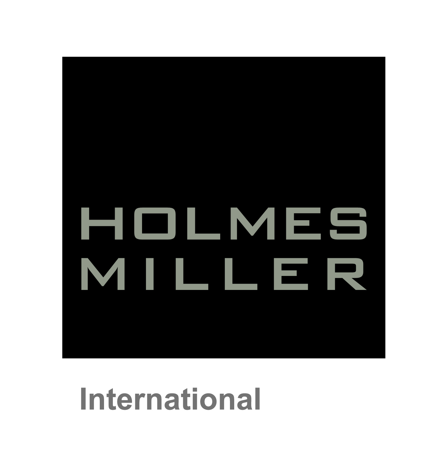 Holmes Miller International
